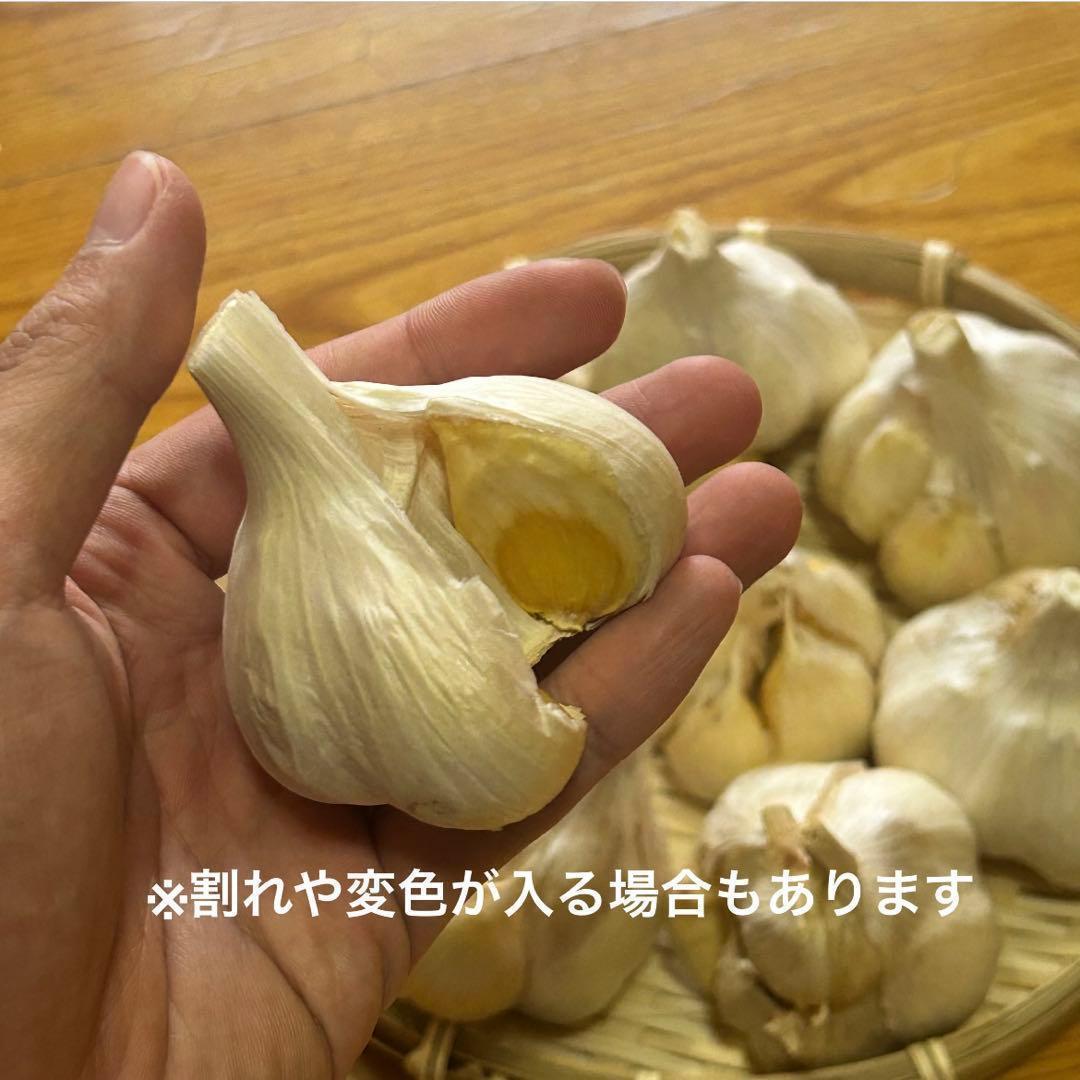 【お買い時】青森県産にんにく L 10kg 福地ホワイト 激安 家庭用 加工用