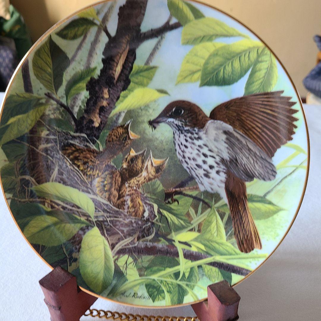 A.Jルディシル　プレート12枚セット