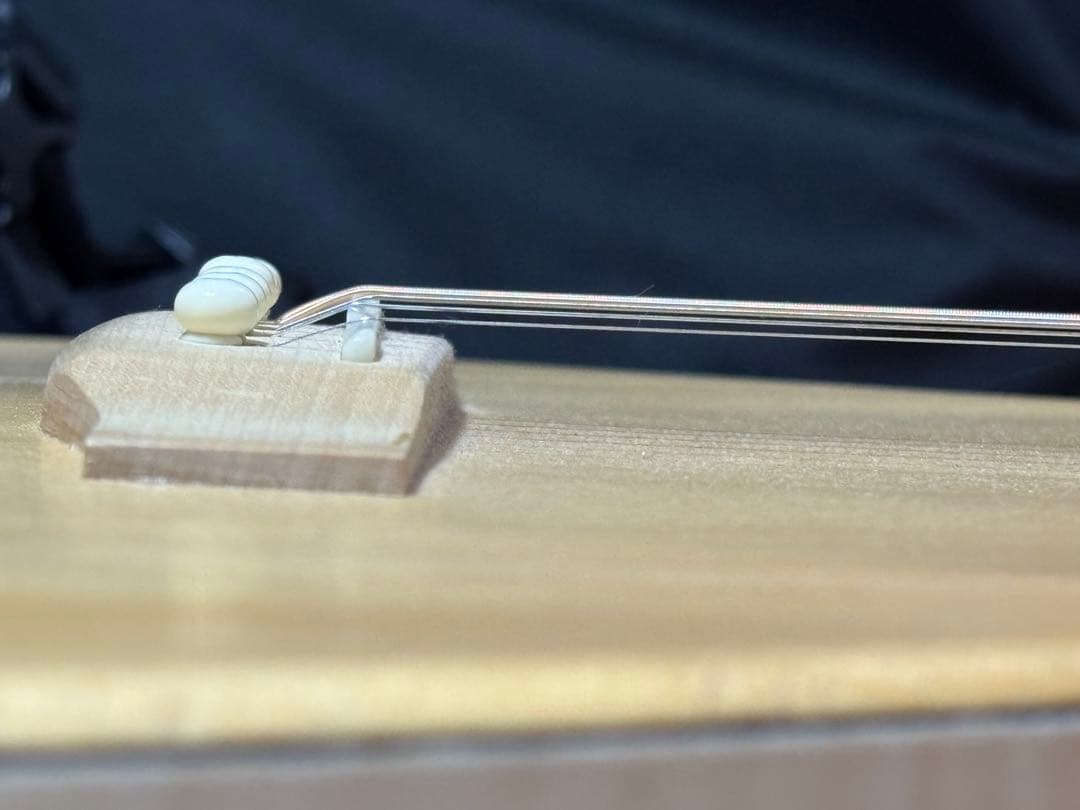 Nagi Guitars shiro アコースティックギター　ケースおまけ付き