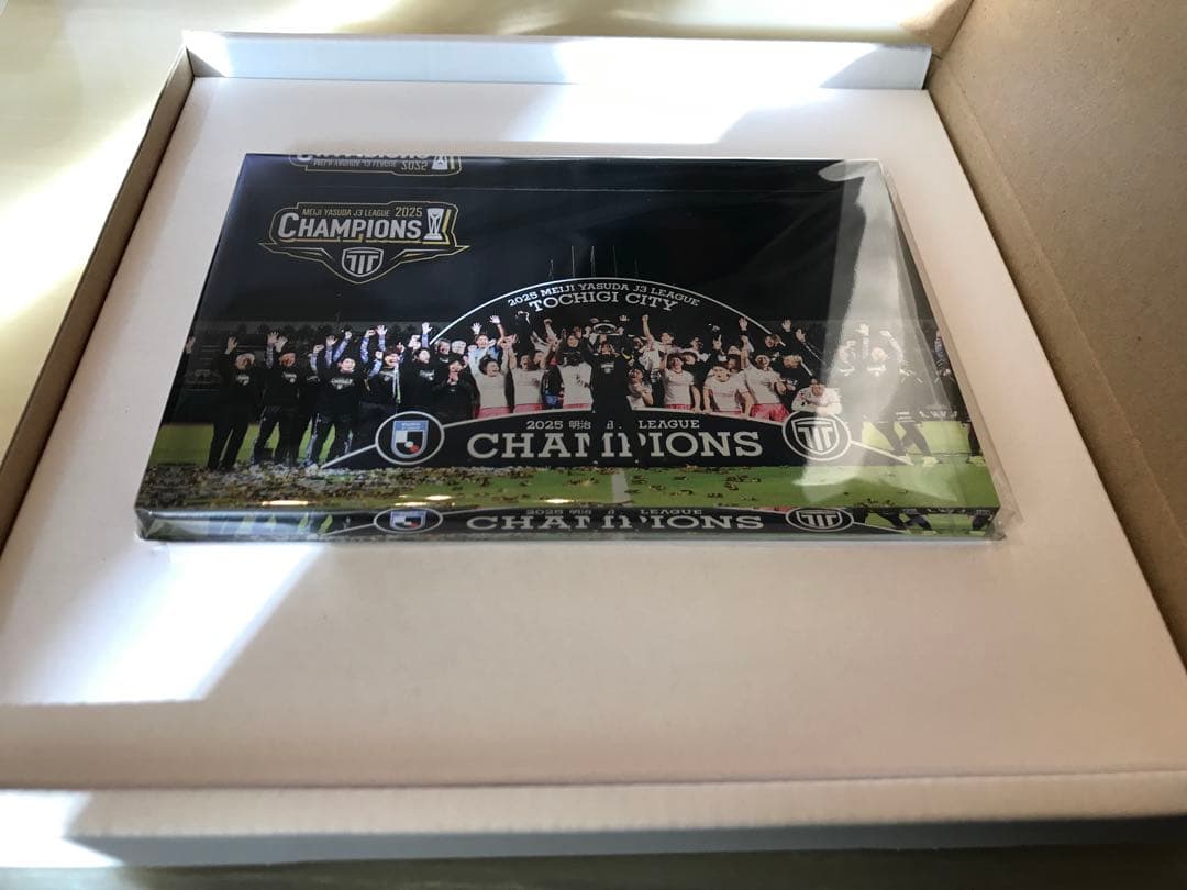 栃木シティ　J3優勝記念アクリルブロック