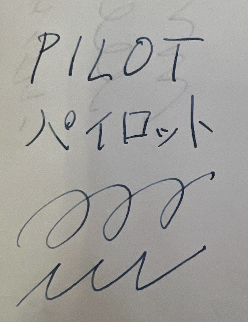 大幅値下げ‼️PILOT Elite ポケット万年筆 18K大型ペン先