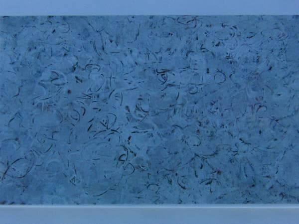 Mark Tobey、Special Writing、希少画集画、新品額装付