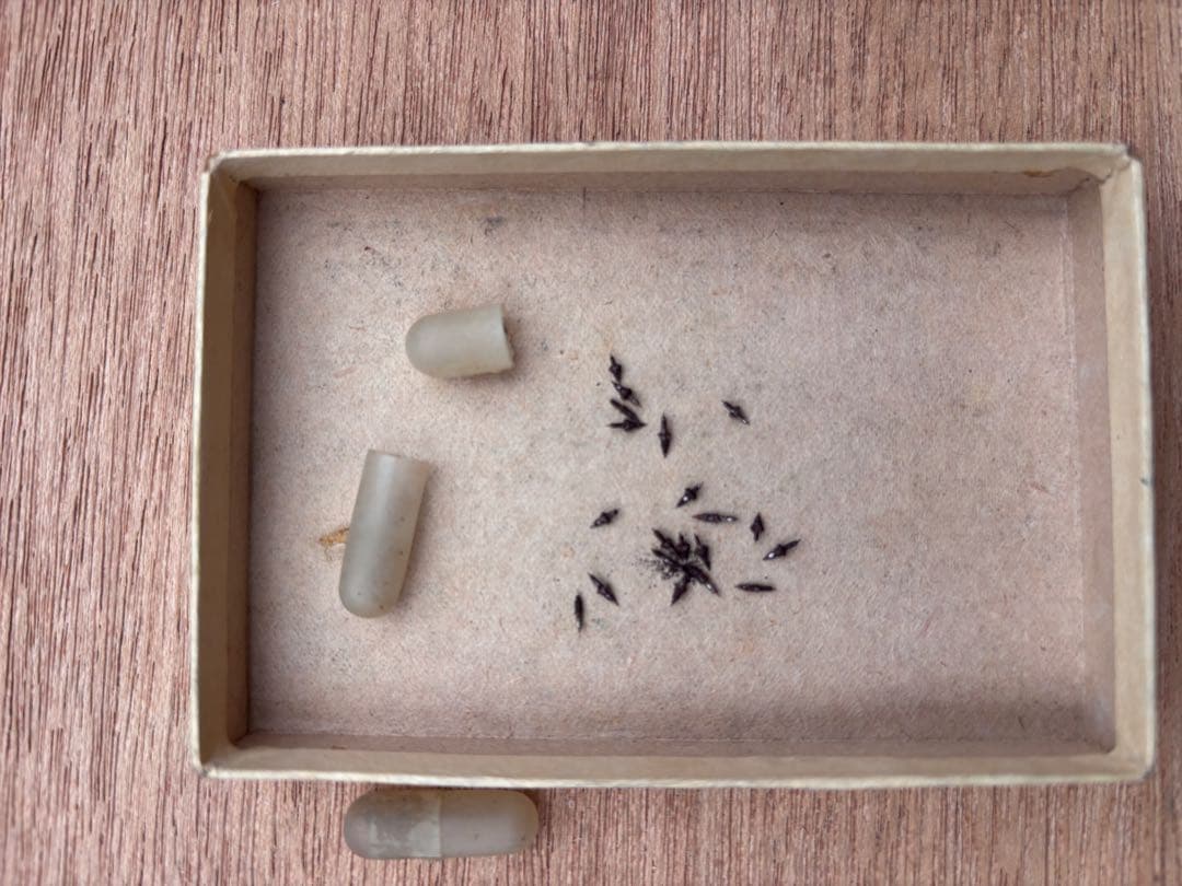 時計風防がたくさん入った小引き出し　5杯　時計部品　針　腕時計　デッドストック