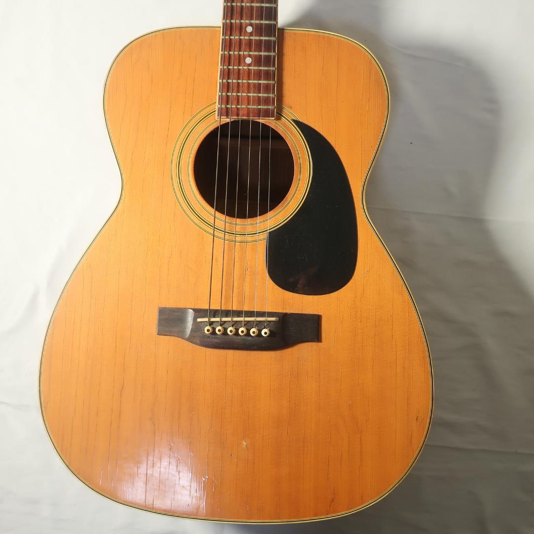 沖縄BLUE BELL F-200 GOTOH星ペグ装備 アコースティックギター