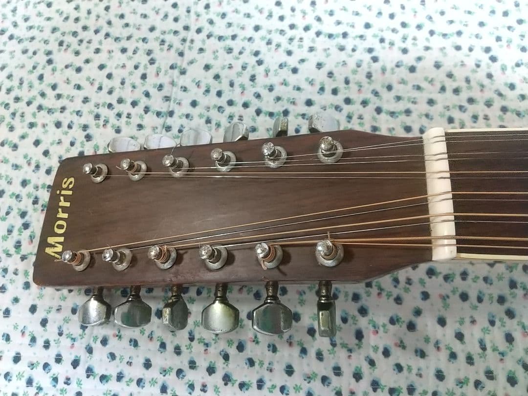 MORRIS モーリス 日本製 12弦 アコースティックギター B-25 おまけ