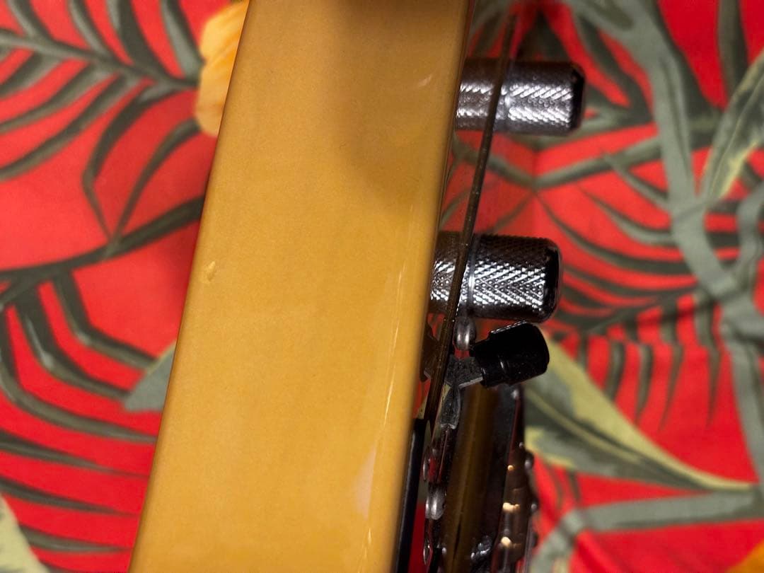 ギター momose MTL2-STD/M BBD