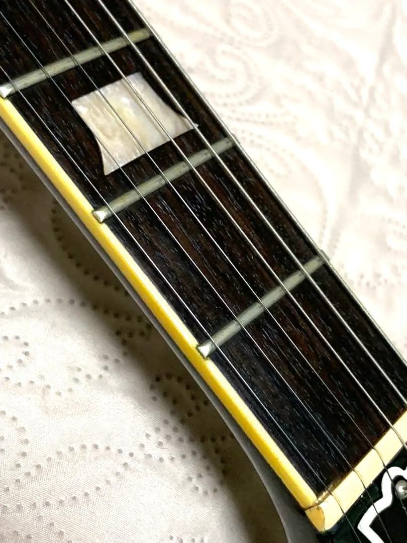 Aria ProⅡ LesPaul Standard LS-400 ハードケース