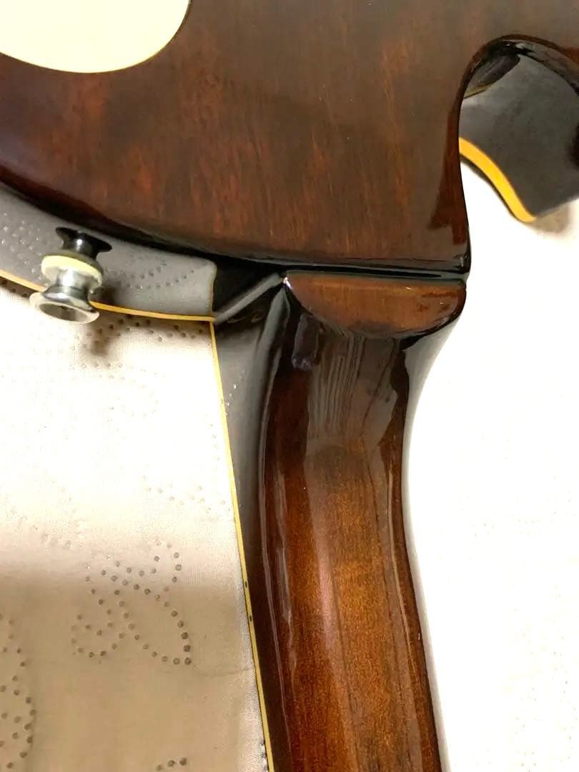 Aria ProⅡ LesPaul Standard LS-400 ハードケース