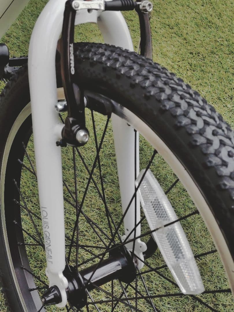 ルイガノ　J20【兵庫県　直接引渡し限定】