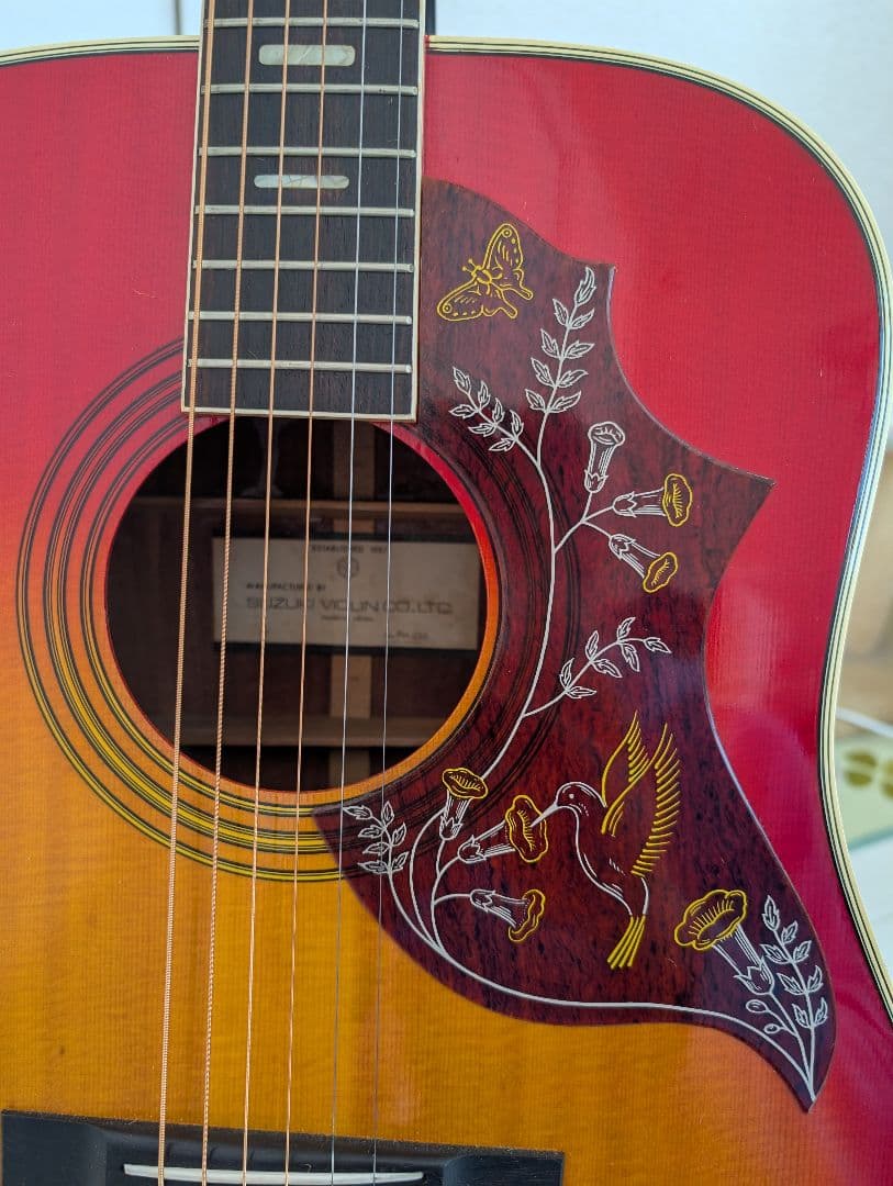 ギター SUZUKI Hummingbird FH-250 1970s