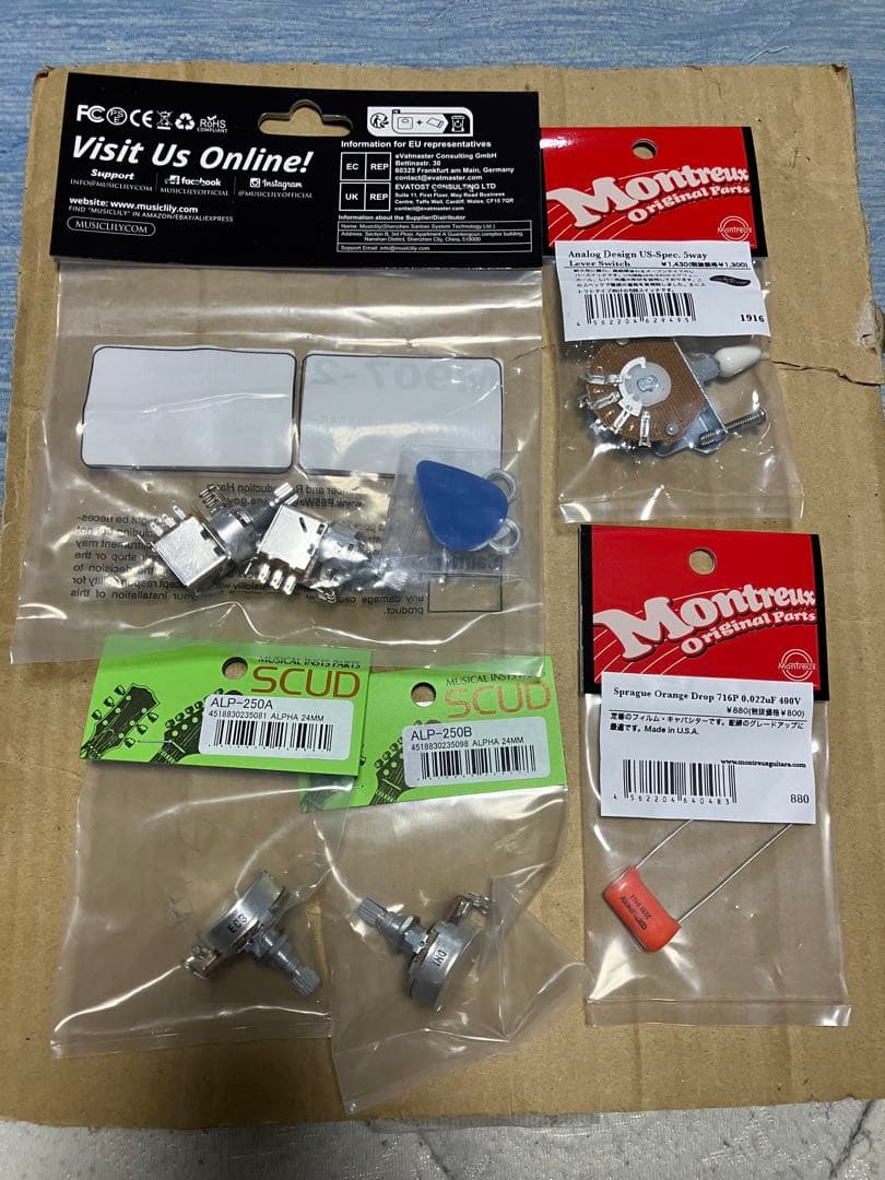 Bacchus BST370Rストラト　カスタム品