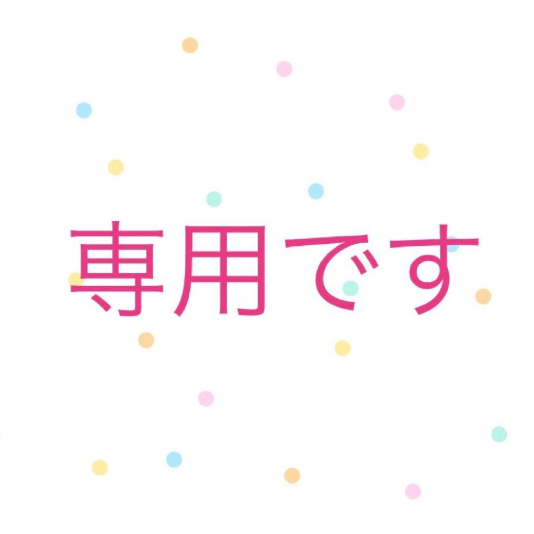 【専用】非常持出袋 plus+ 防災リュックのみ 大容量17L 迷彩シルバー