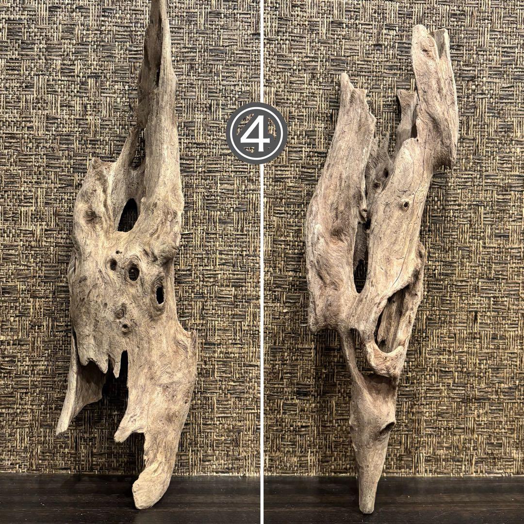 流木 優秀フォルム４本セット