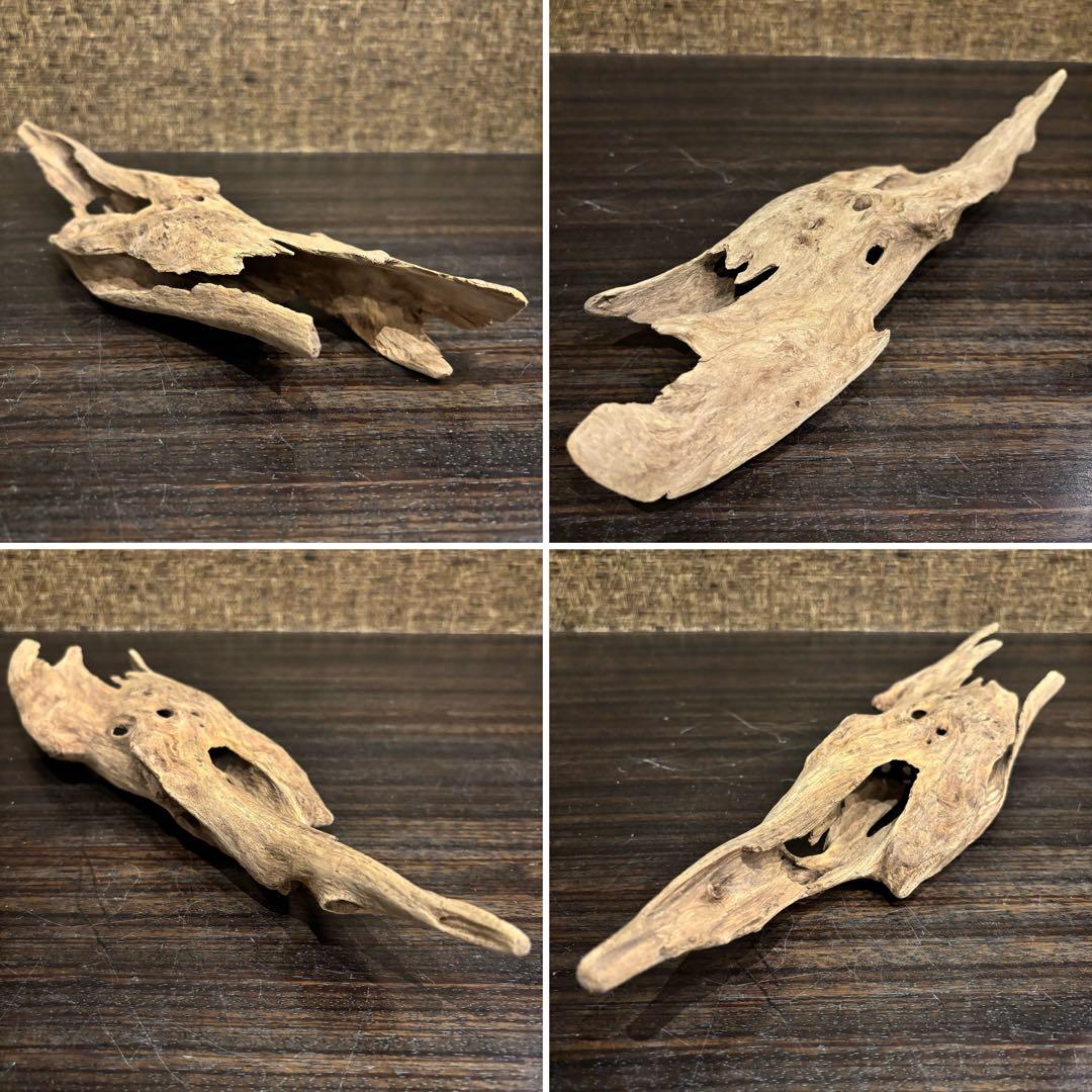 流木 優秀フォルム４本セット