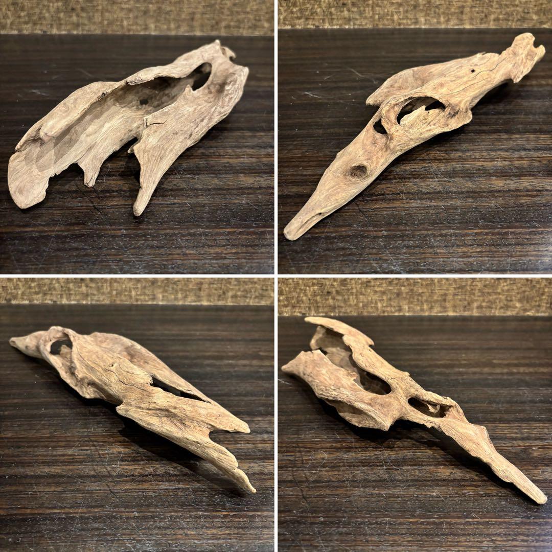 流木 優秀フォルム４本セット