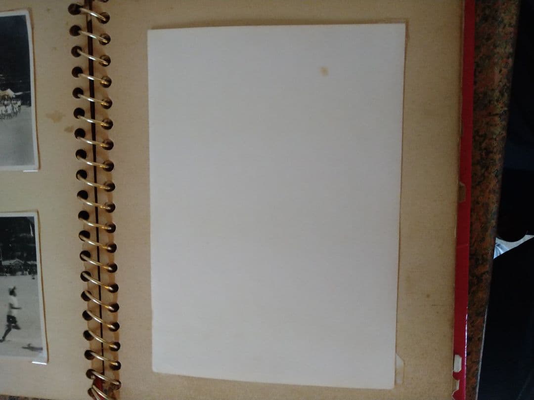 激レア！ザ・タイガース、沢田研二の生写真２枚