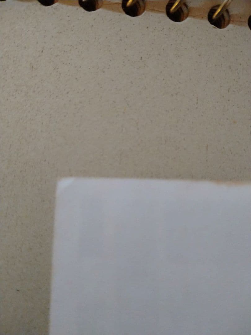 激レア！ザ・タイガース、沢田研二の生写真２枚