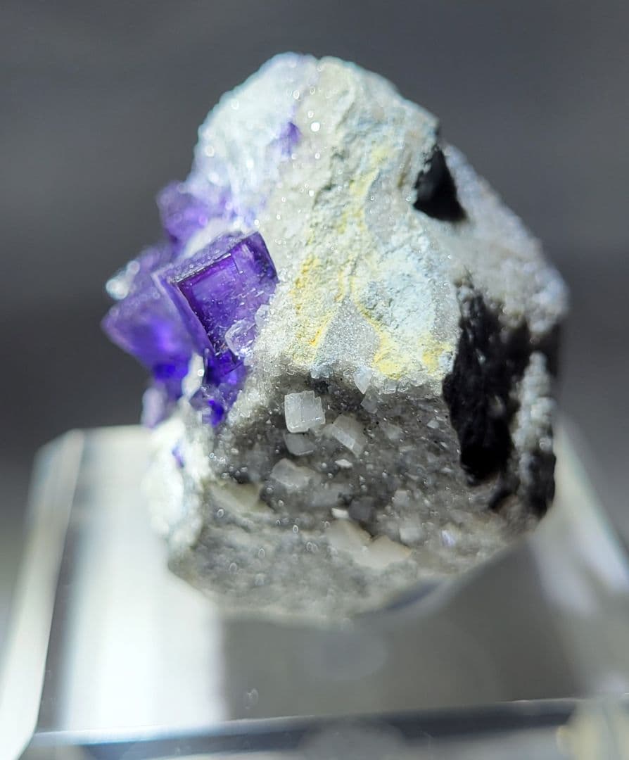 フローライト エルムウッド Elmwood 鉱物標本