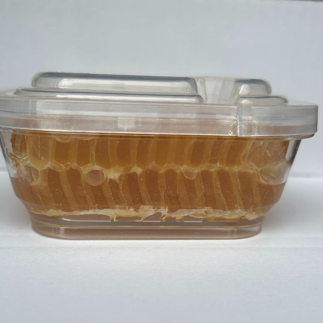 みつばち巣蜜　２パックセット➕トンガリ容器500g