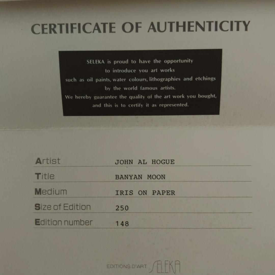 ジョン・アルホーグ / 『バニヤン・ムーン』 ダイヤモンド・手彩入り