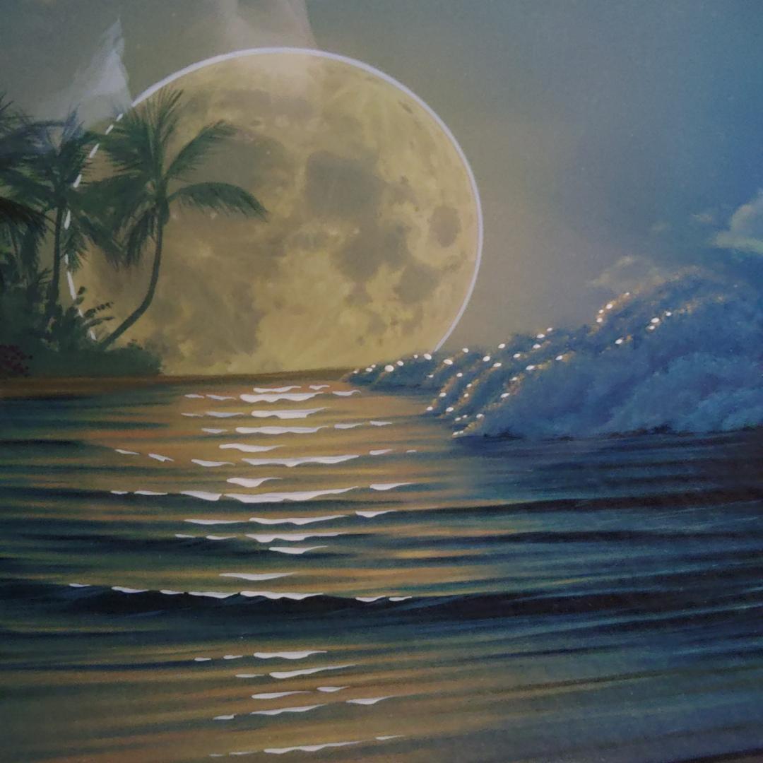 ジョン・アルホーグ / 『バニヤン・ムーン』 ダイヤモンド・手彩入り