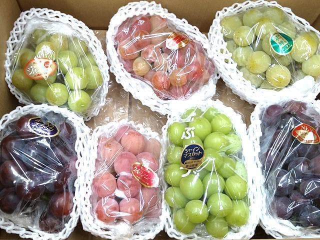 【安心の冷蔵便】岡山産　ぶどう食べ比べ（4～7種類）　ご家庭用　約4ｋｇ