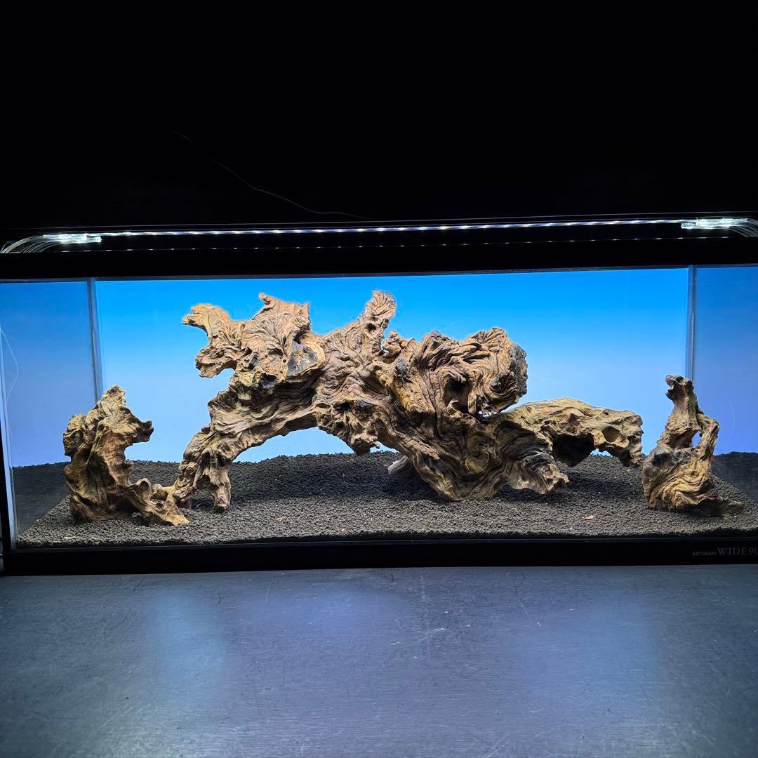 MJW-7213 「特大」ジンジャーウッド　90cm水槽用　天然流木3本セット