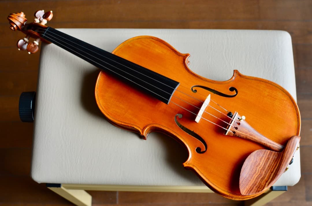 【カスタム美品】Gliga GEMS1 4/4 バイオリン セット