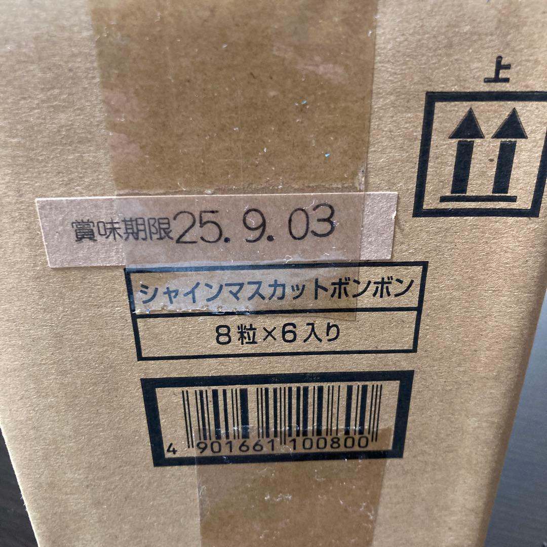 シャインマスカットボンボン6袋　即日発送可