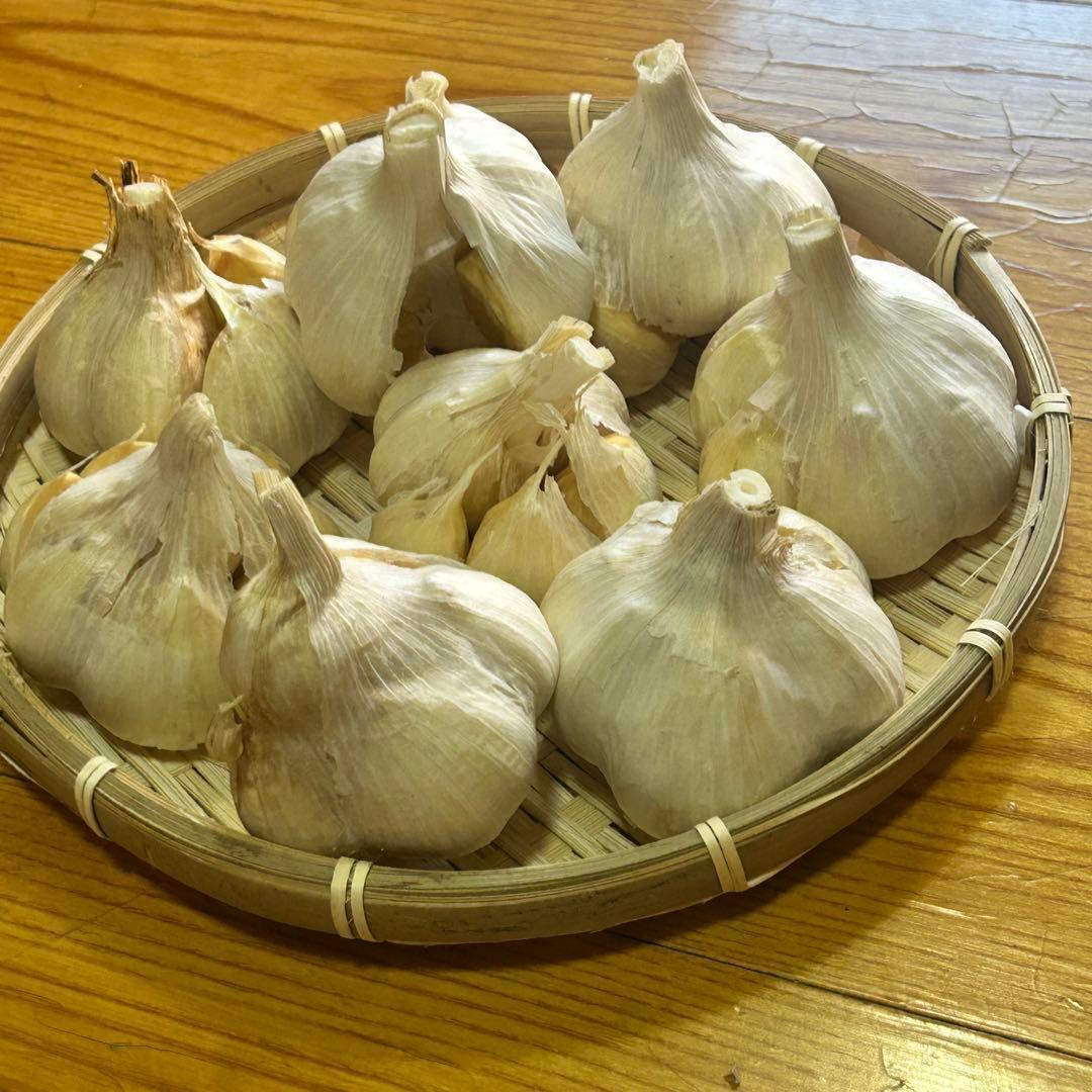 【お買い時】青森県産にんにく L 5kg福地ホワイト六片 激安 家庭用 加工用
