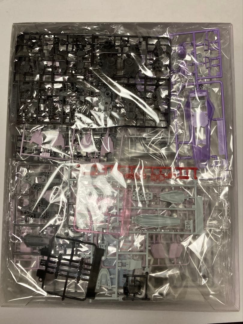 ＭＧ 1/100 ブレイズザクファントム／レイ・ザ・バレル専用機×２