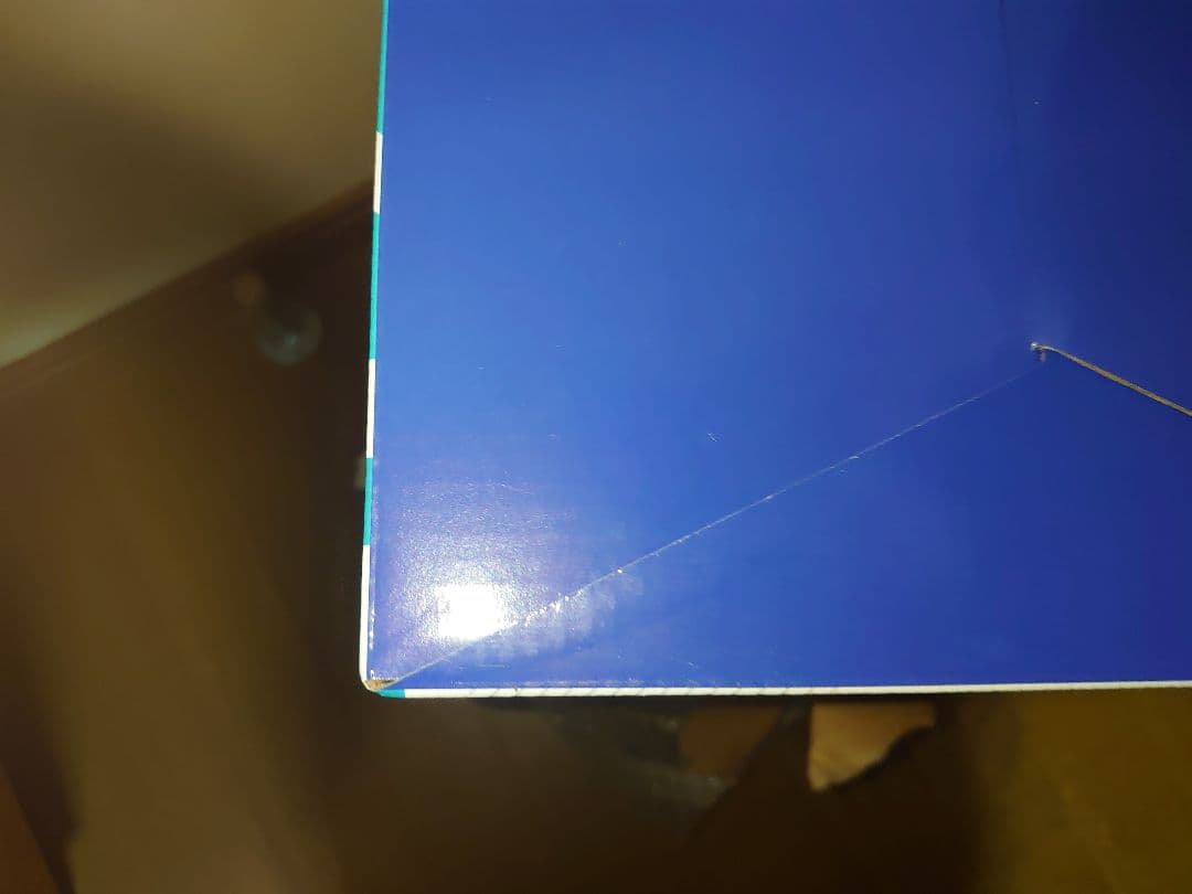 バニースーツ プランニング ソフィア・F・シャーリング 逆バニーVer. 1/4