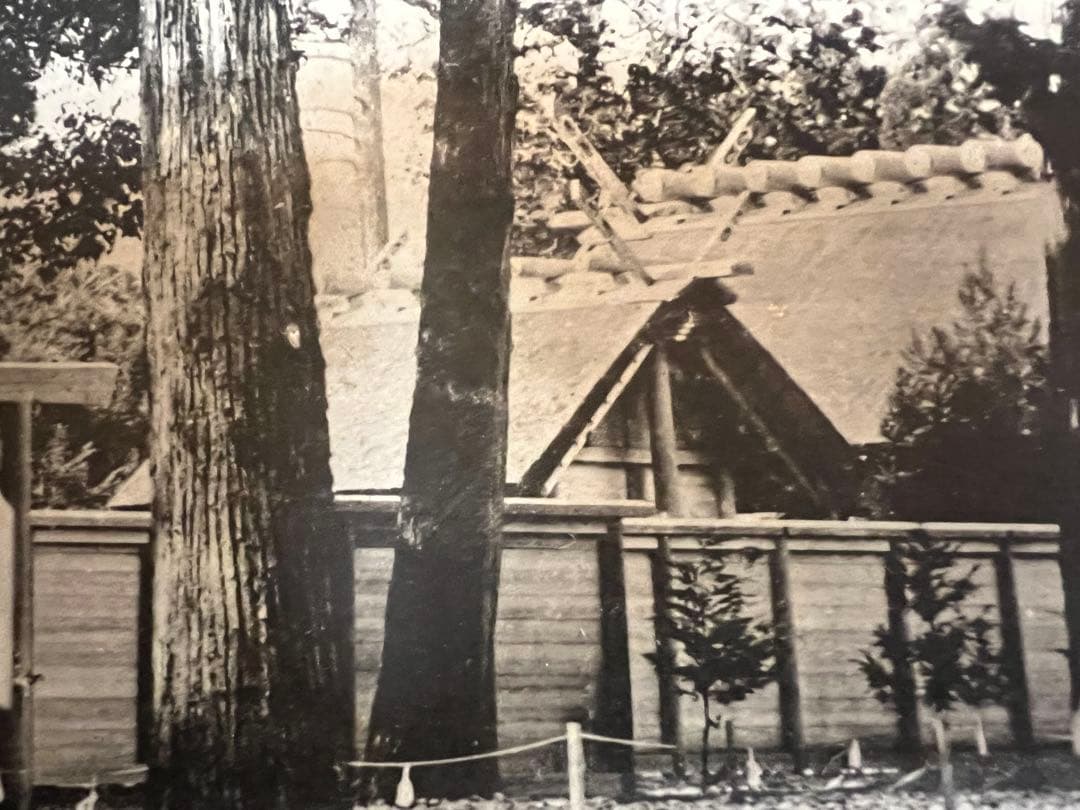 明治〜大正時代　非売品 内務省公式写真 菊花紋章 神社境内 戦前資料　アート