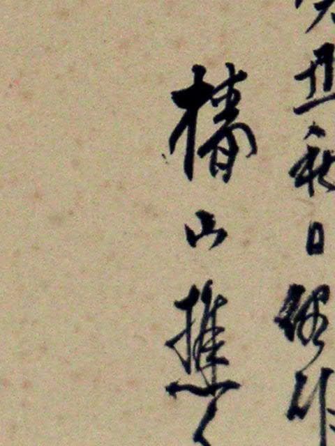 ♥掛軸　模写　日本画　椿 椿山　掛け軸　共箱付き