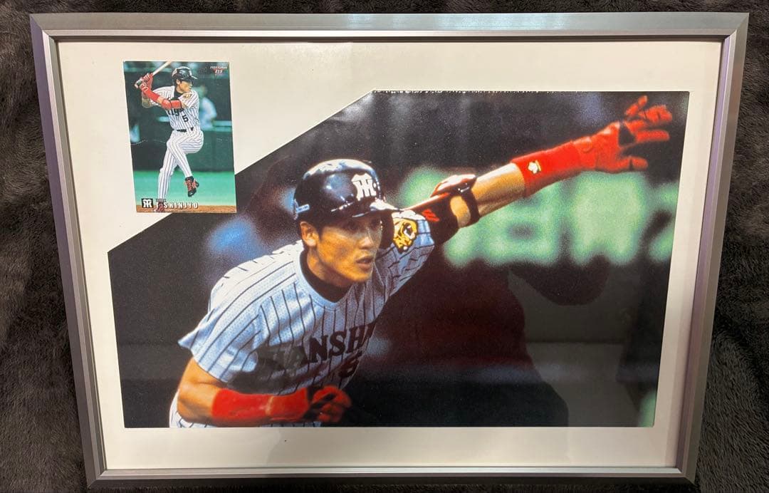 元阪神タイガース　新庄剛志モデル　ウィンド・ブレイカー(プロ・コレクション)