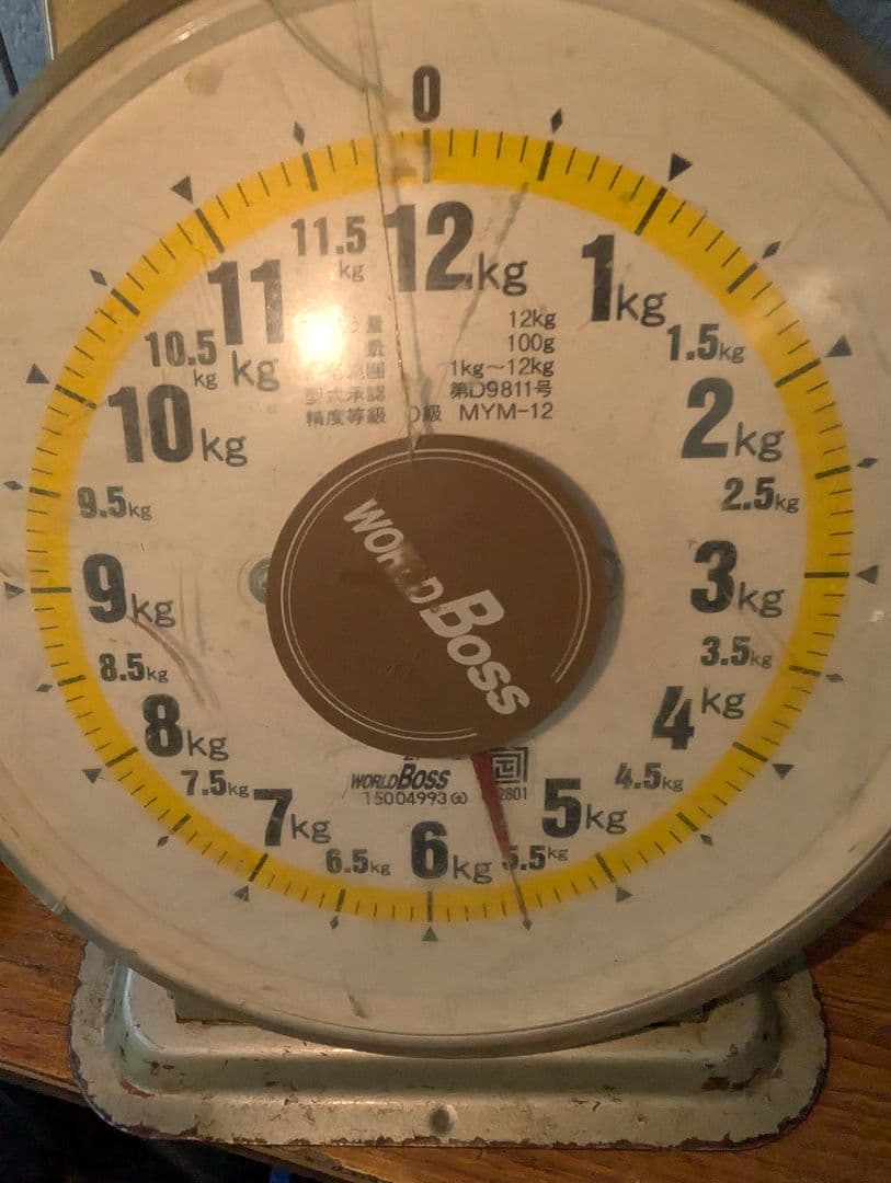 山梨県産ぶどう　ブラックシャインマスカット　10房入り箱込み約5.5kg