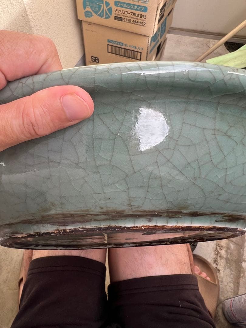 天龍寺青磁魚装飾大皿