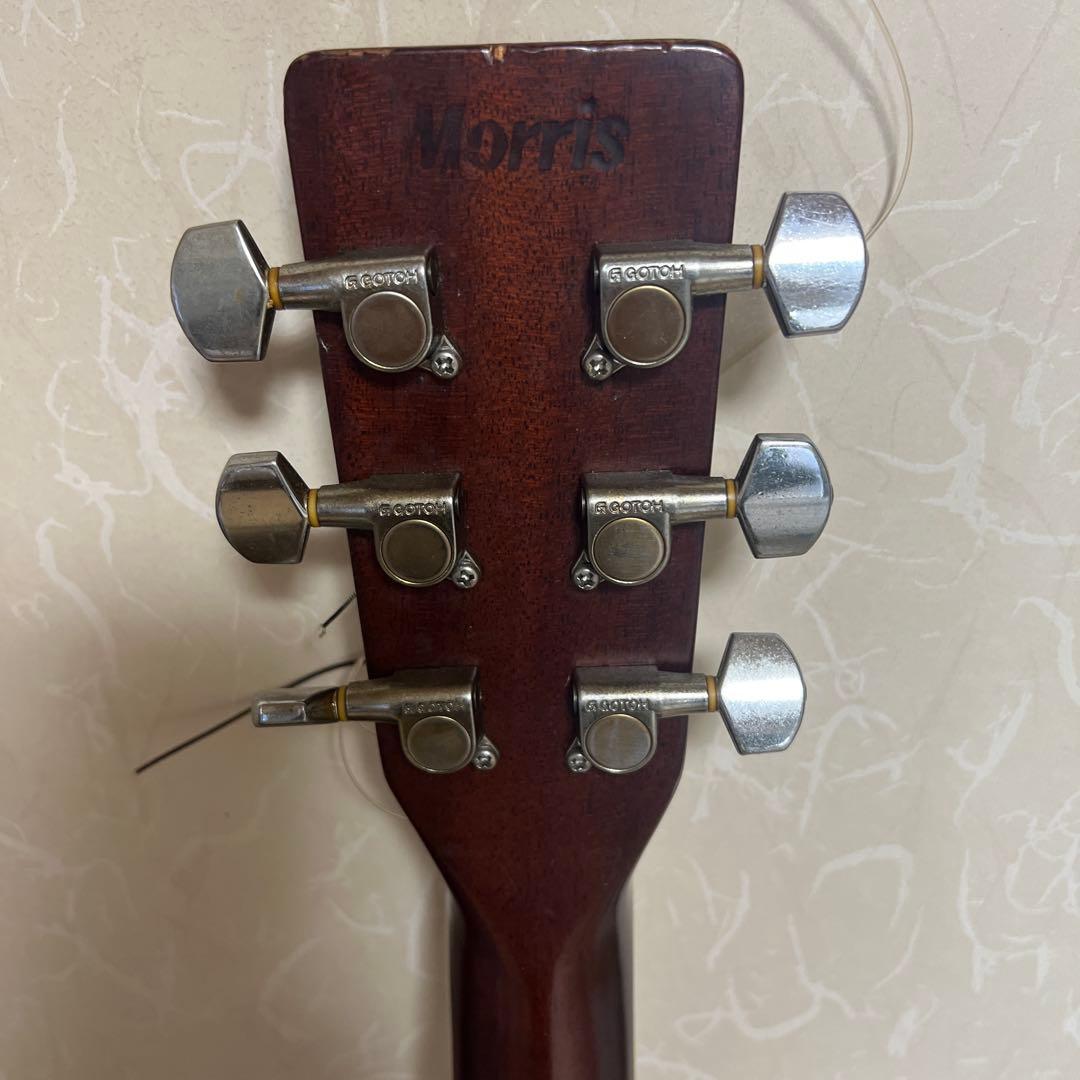 Morris ヴィンテージアコースティックギターTF