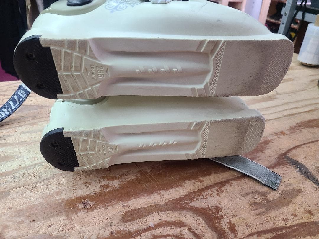 スキー 25-25.5cm DALBELLO Lotus