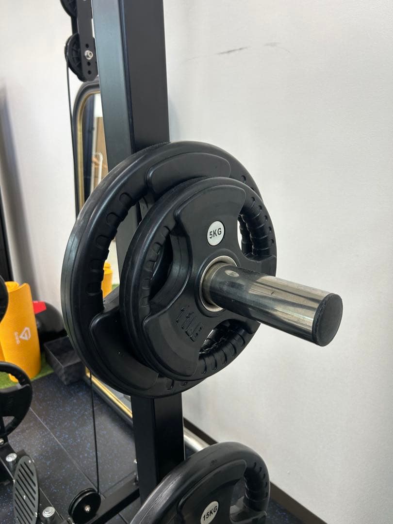 EVOLGEAR エヴォルギア フォールディングパワーラックEVPR-181