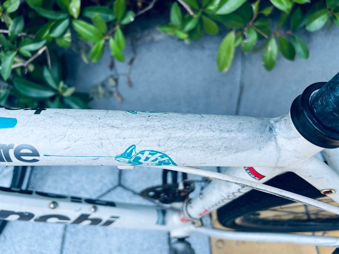 ビアンキ　自転車　クロスバイク　カメレオンテ スポーツ3 中古　白bianchi