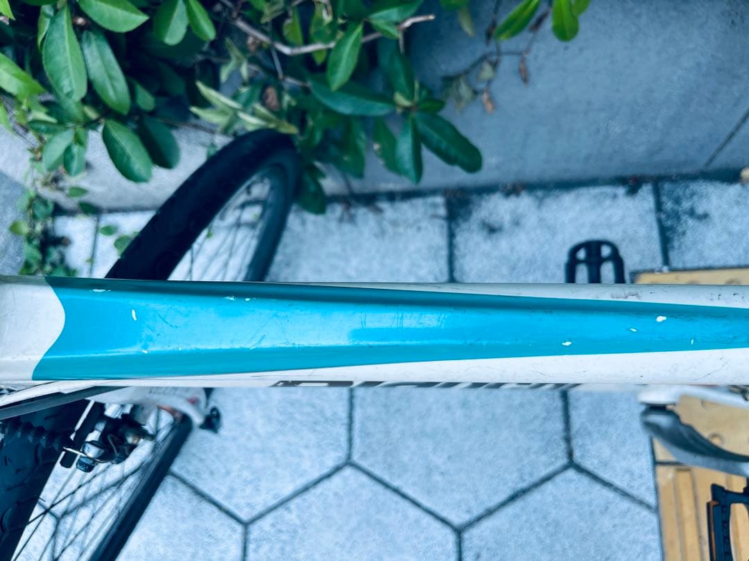 ビアンキ　自転車　クロスバイク　カメレオンテ スポーツ3 中古　白bianchi