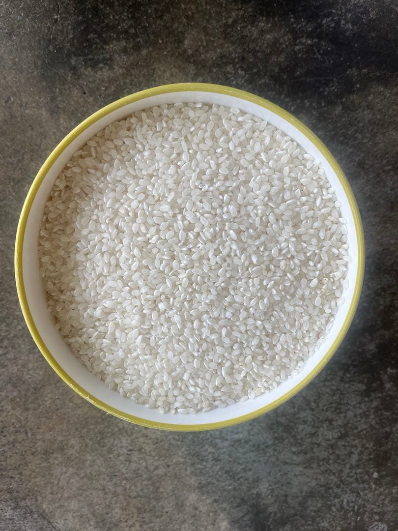 令和7年愛知県産【精米20kg】送料込み 米 精米 白米梱包含め20㎏