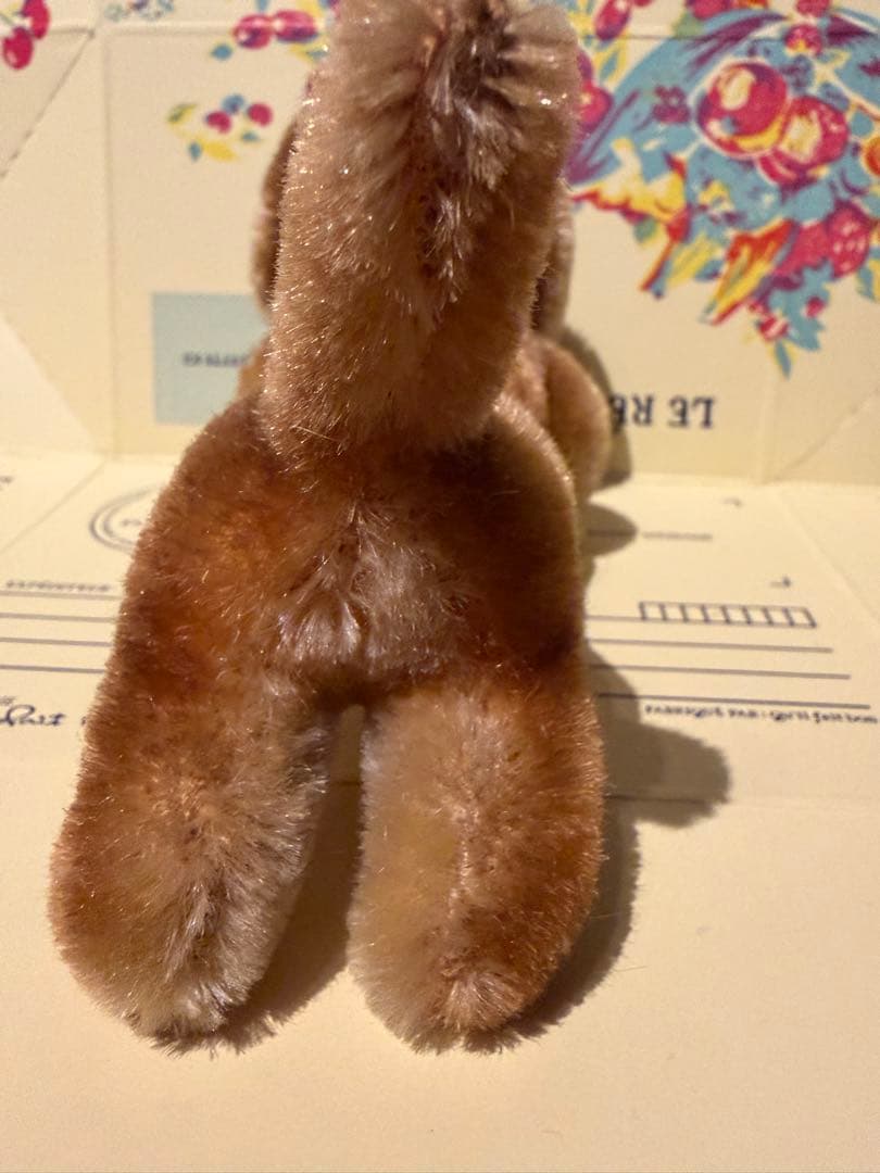 ベルリン購入　超美品シュタイフ 1950年代のダックスフンド　グラスアイ