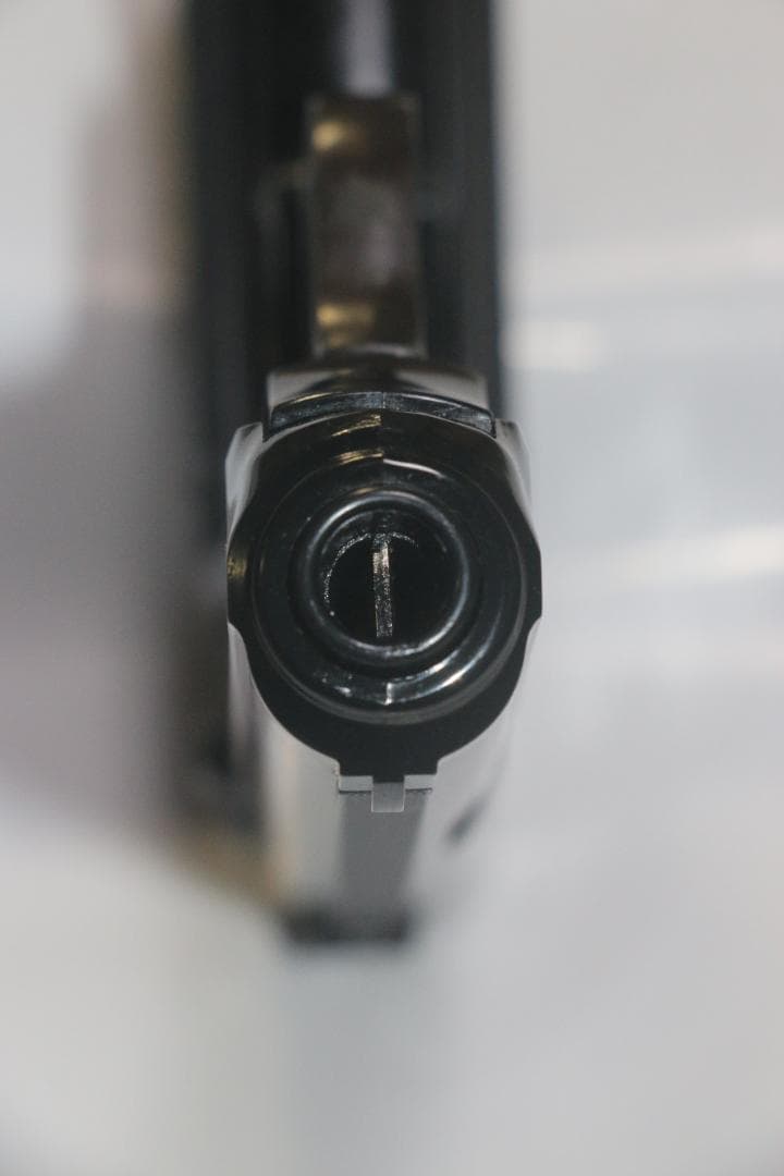 超希少ウェスタンアームズ製ABS樹脂製モデルガン ワルサーPPK ／S 合法品