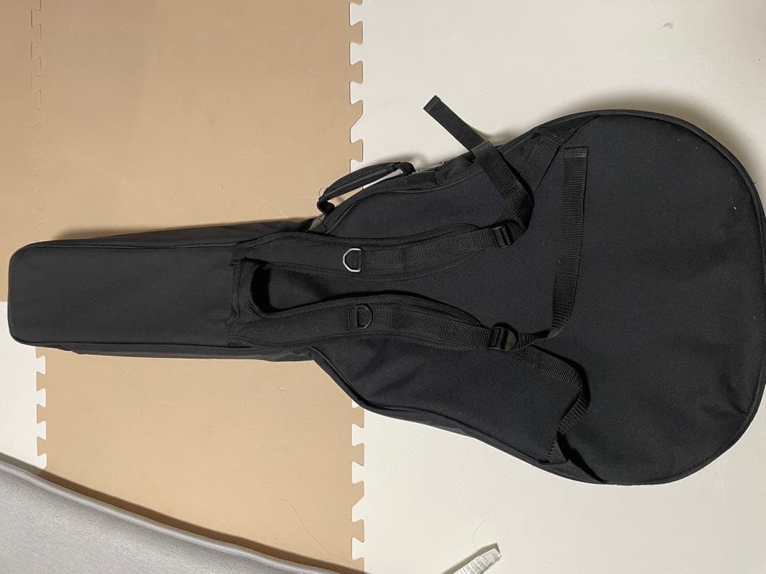 Takamine エレアコ　ギター　タカミネ純正ケース付き