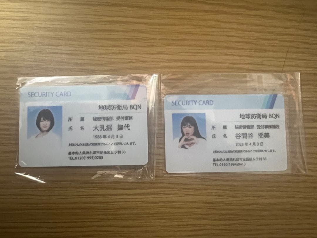 平成フラミンゴ 助け展 缶ミラー 社員証 セット