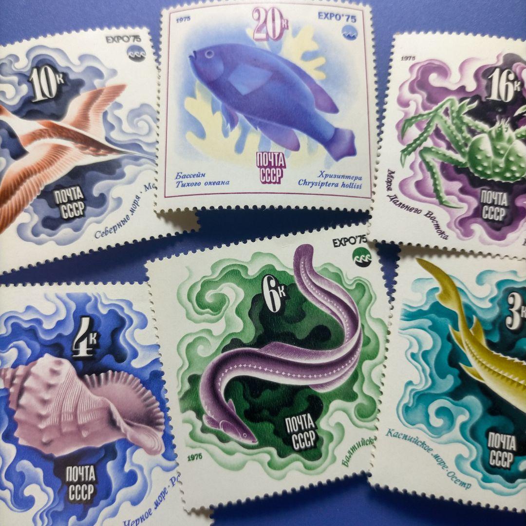 4033　外国切手　旧ソ連　1975年EXPO'75 冲縄国際海洋博会　6種完