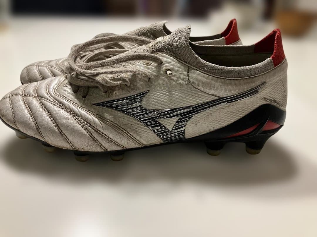 モレリアネオ4ベータ　25CM