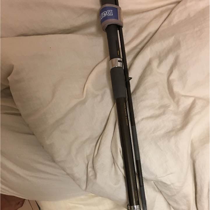 ダイワ シーバード